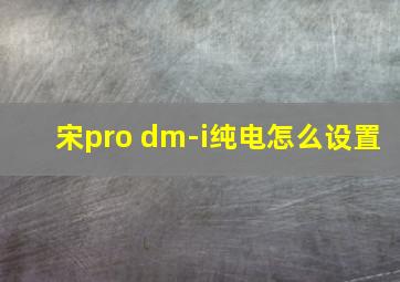 宋pro dm-i纯电怎么设置